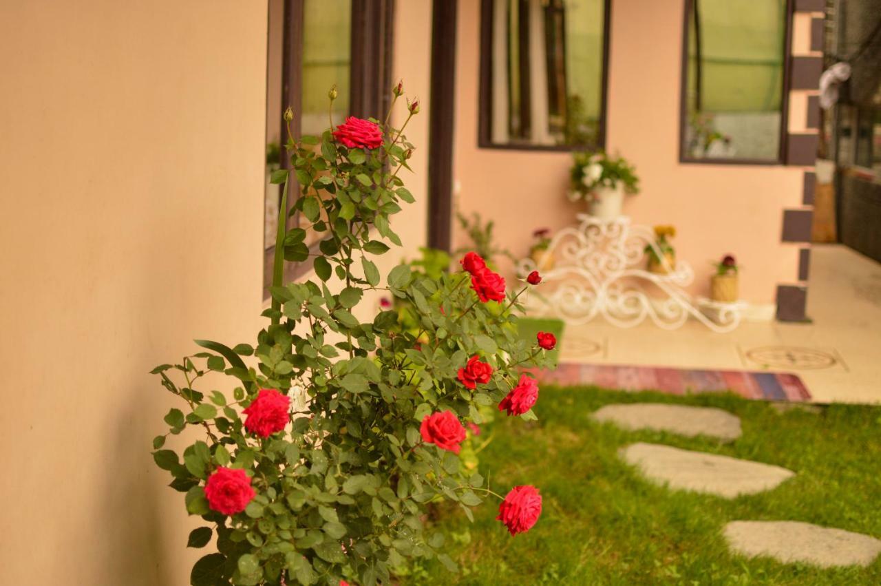 Hill House Manali -A Home In Mountains エクステリア 写真